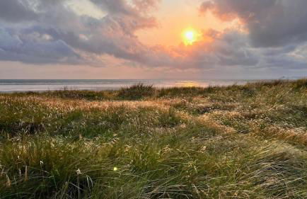 Ty Palud Gîte, piscine chauffée, spa et air marin - Foto 17