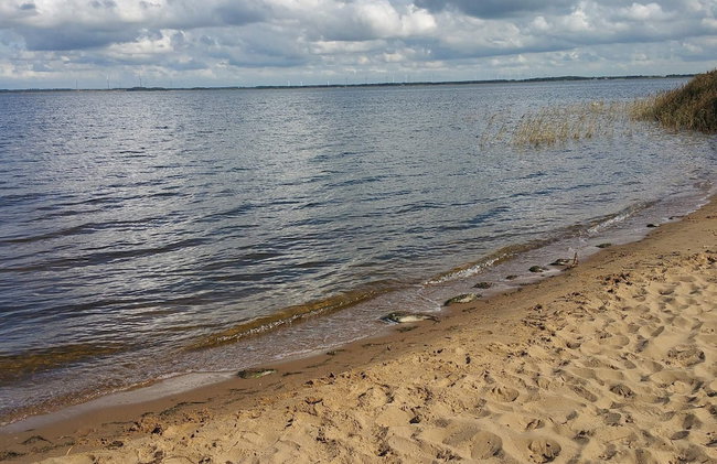 6 Person Holiday Home in Ulfborg - Foto 30