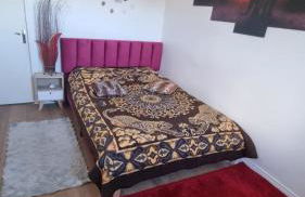 De Manhattan à la savane - Foto 6