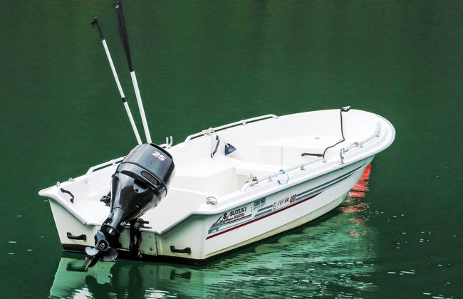 Ørviksnes - Photo 26