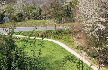 Milly Lake - Foto 28