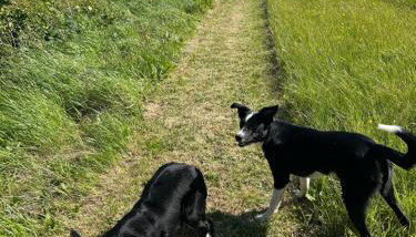 quiet secluded loft in County Durham - Foto 2