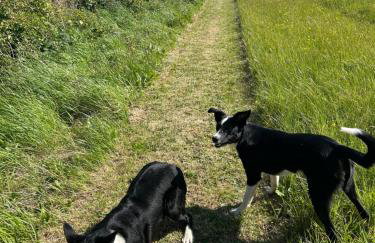 quiet secluded loft in County Durham - Photo 2