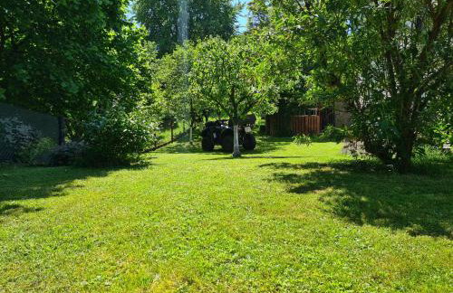 Happy Sparrow - Foto 46