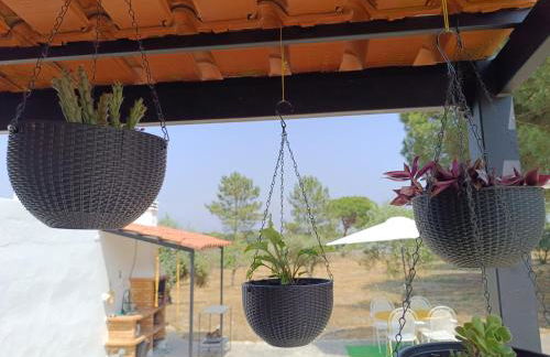 Quinta do Pinheirão - Foto 19