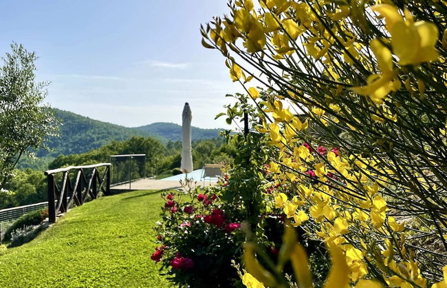 Farmhouse in Tuscany Near Anghiari - Photo 15