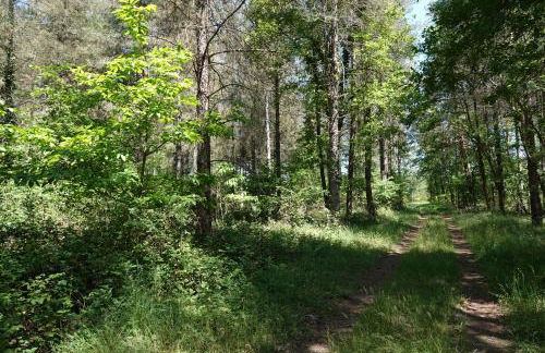 Gîte à la campagne 1 chambre Les Grandes Maisons Espace jacuzzi hammam SPA - Photo 15