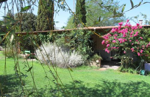 Orto delle Fate - Foto 11