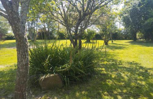 Gîte de l'Espinasse : Charme bucolique, animaux acceptés - FR-1-489-535 - Foto 28