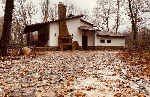 Arnaia Forest Villa - Photo 40