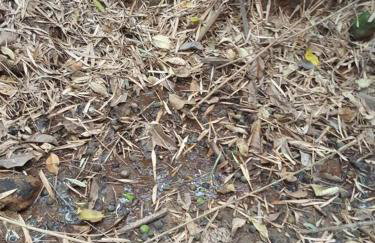 Chácara em Piracaia - Photo 36