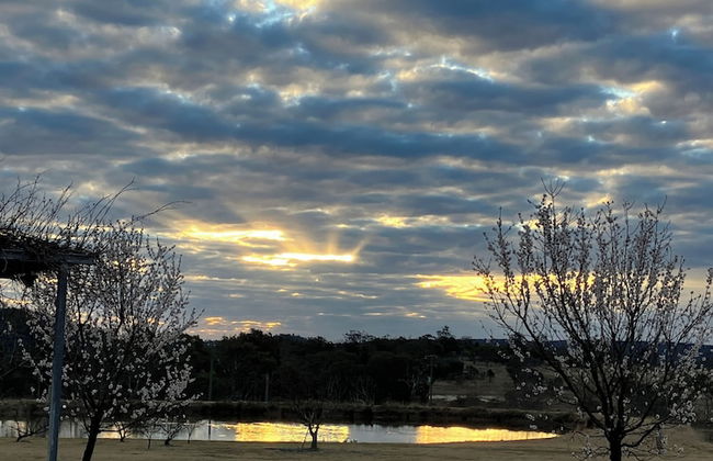 Stargazers Escape Stanthorpe - Photo 43