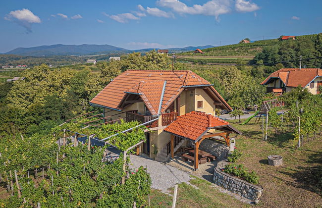 Vineyard Cottage Brodaric - Foto 19