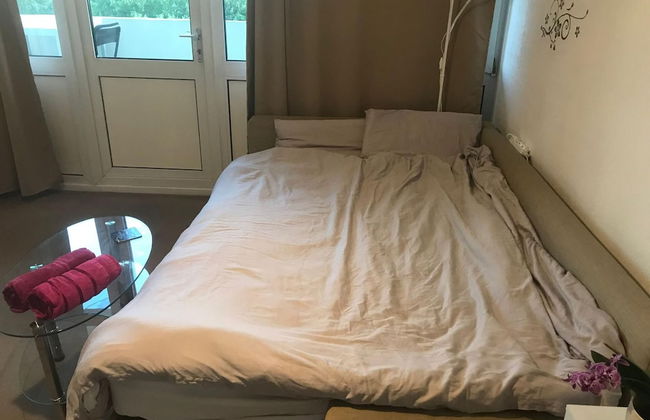 Impeccable Studio Apartment by the London Eye - Foto 2