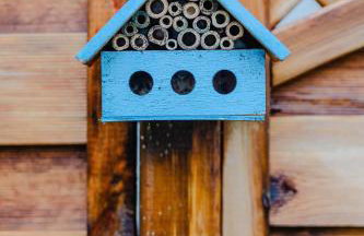 Domki na Górniej Łące - Dwa Wróble - Foto 53