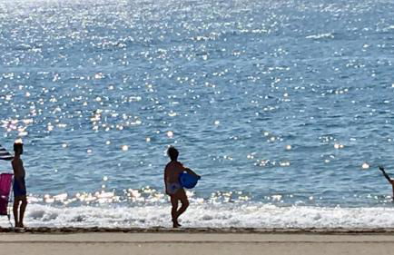 MARBELLA ALICATE BEACHFRONT - Luxury Apartment-1 - Photo 49