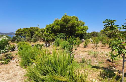 Holiday home Voga - Photo 39