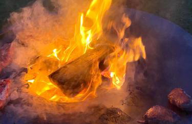 Tiny House Igluhut - Foto 20