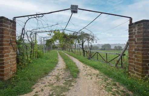 3 Bedroom Cozy Home In Vignanello - Foto 18