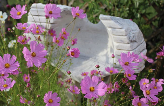 Galeria In The Garden - Photo 46