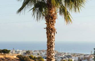 Orama Luxury Villa 4 Bedrooms with Private Pool - Foto 22