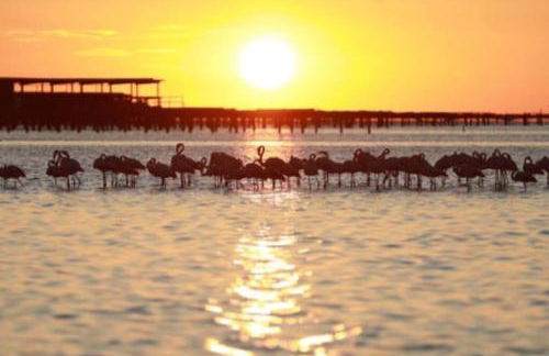 Apartamento Isabel - Foto 30