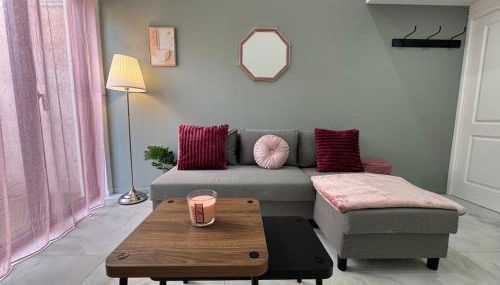 Petit Boudoir Lyonnais neuf terrasse climatisé - Foto 3