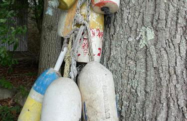 Thames River Cottage - Foto 30