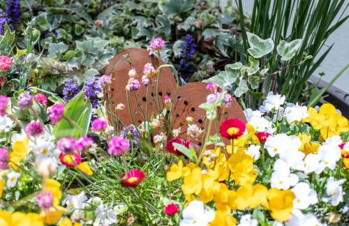 Gîte le coeur d'Alsace - Foto 54