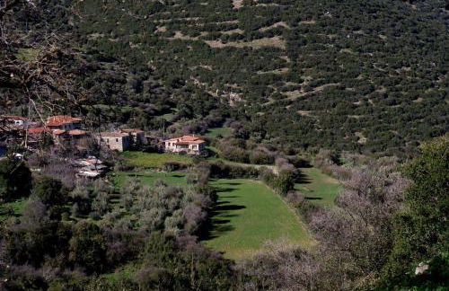 Traditional village house on Argolis for 6 persons - Foto 52