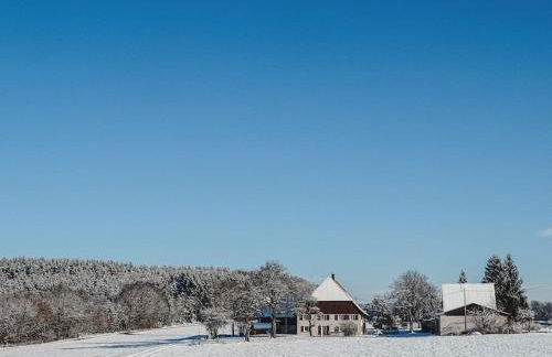 Ferienhof Greuthof - Foto 9