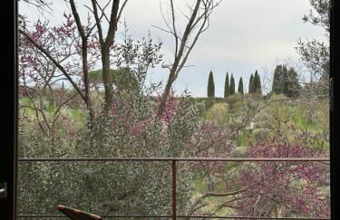Villa con piscina vicino Roma - Foto 44