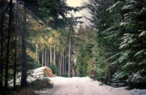 Gemutliche Ferienwohnung in Cattenstedt - Foto 61