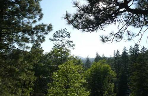 Fawnskin Lake Chalet - Close to Lake - Foto 9