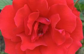 L'oriere des Bois - Foto 38