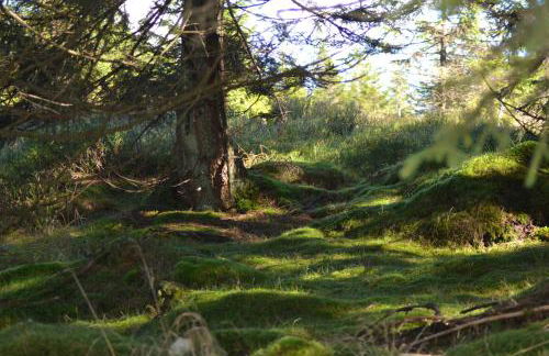 Ferienwohnung Pusteblume - Foto 26