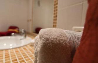 Les Chouchous du Ried 3 / Proche Europapark - Foto 9