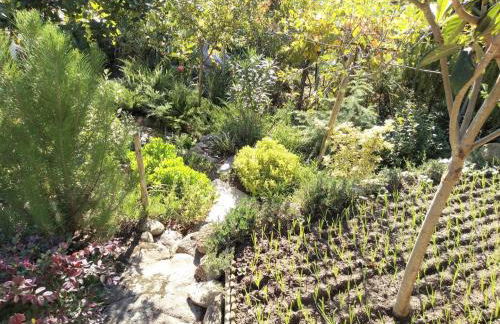 Casa Rio Zêzere - Foto 66