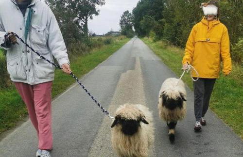 Ferienwohnung-Rungholt-Edomsharder-Hof-Nordstrand - Photo 8