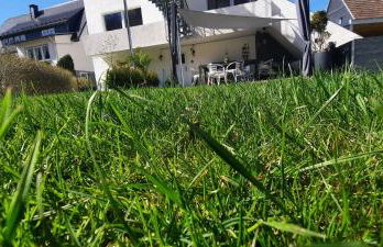 Ferienwohnung Zum Kühlen Grund - Foto 46