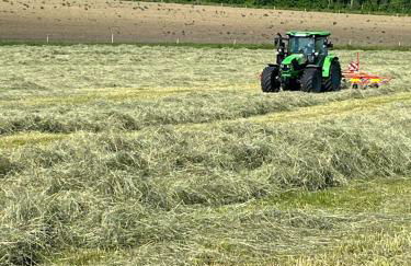 Ferienhof Rohrbachhof - Foto 6