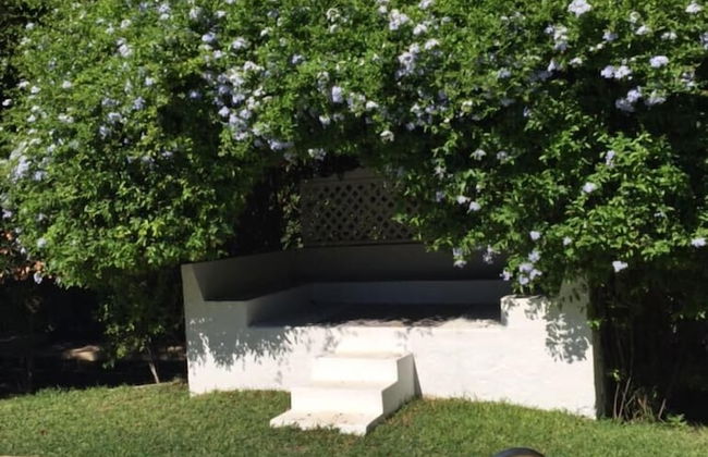 Dar Miramar - Foto 29