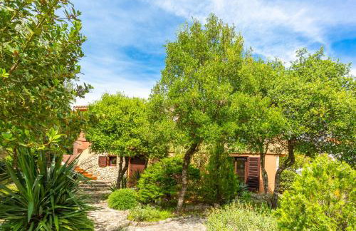 Apartments Villa Temer - Photo 51