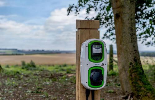 2 Pheasant - Photo 8