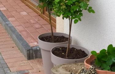 Przy Trójstyku - Foto 24