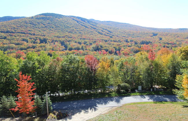 InnSeason Resorts Pollard Brook - Photo 33