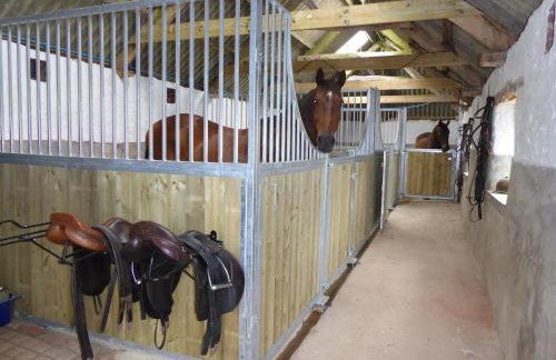 Stockham Farm Dulverton - Foto 37