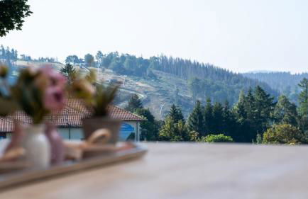 Ferienhaus Mountain View Six53 mit Sauna und Kamin in St. Andreasberg - Foto 13