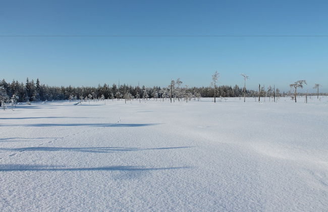 Villa Havula - Foto 15