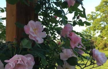 Agriturismo SetteLune - Foto 55